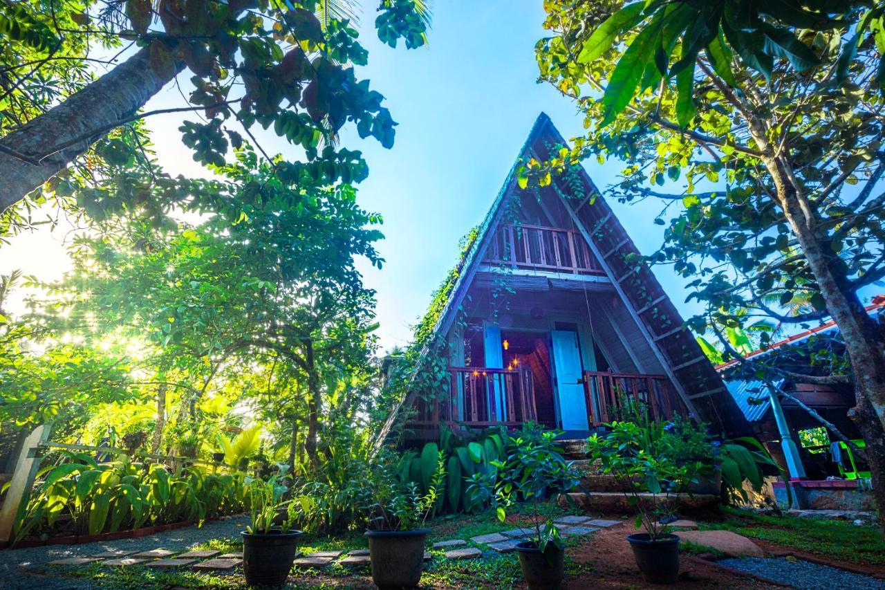 Villa Ovita タール エクステリア 写真