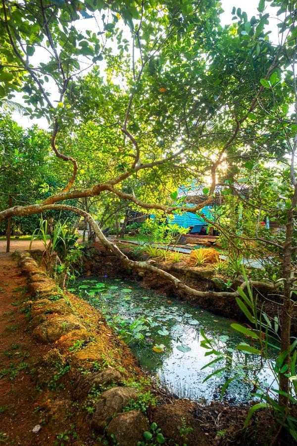 Villa Ovita タール エクステリア 写真
