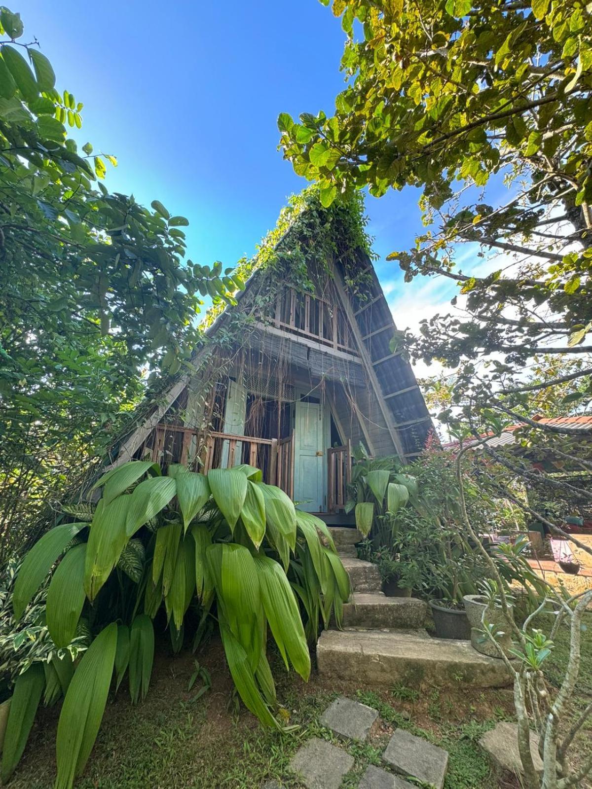 Villa Ovita タール エクステリア 写真