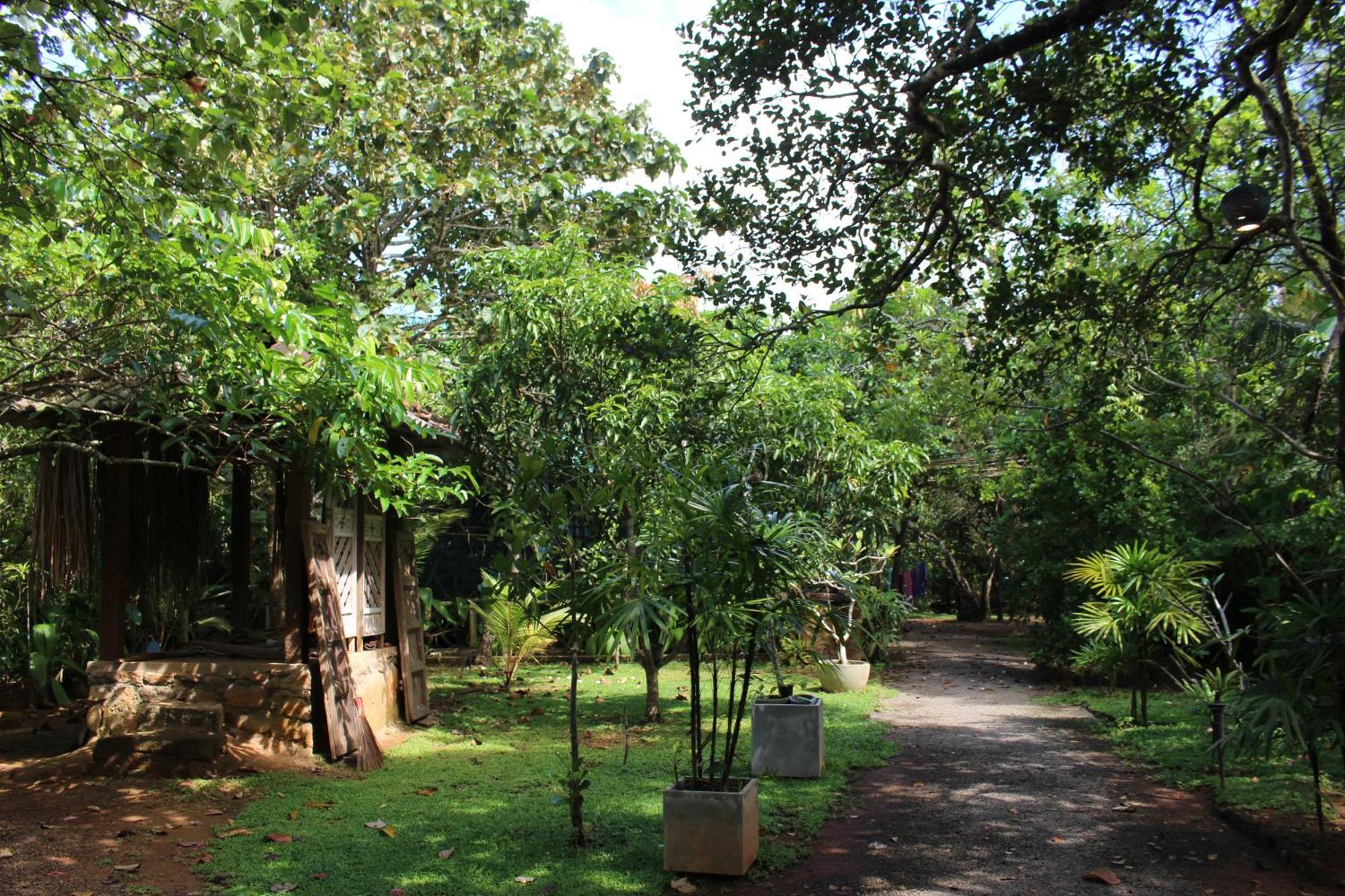 Villa Ovita タール エクステリア 写真