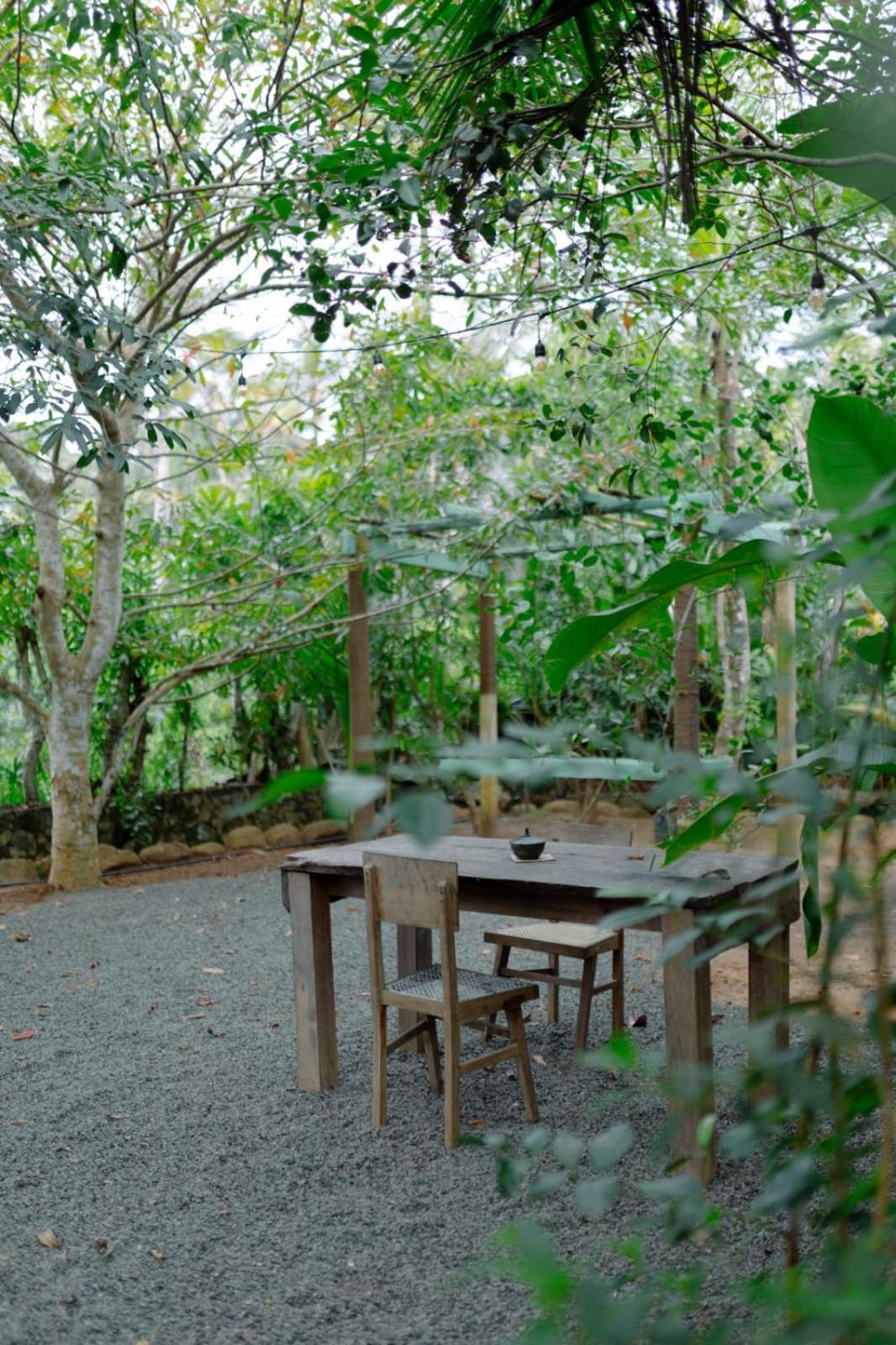 Villa Ovita タール エクステリア 写真